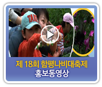 제 18회  함평나비축제 1