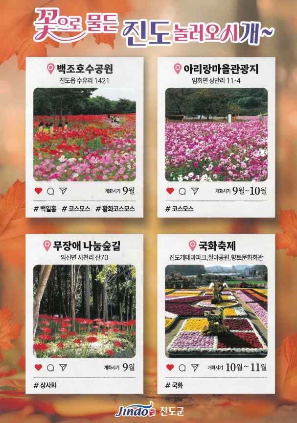 2025 진도명량대첩축제&꽃 명소에 여러분을 초대합니다~ 2