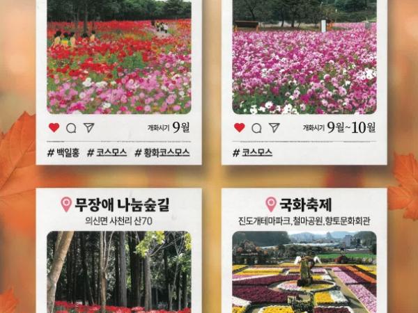 2025 진도명량대첩축제&꽃 명소에 여러분을 초대합니다~ 2