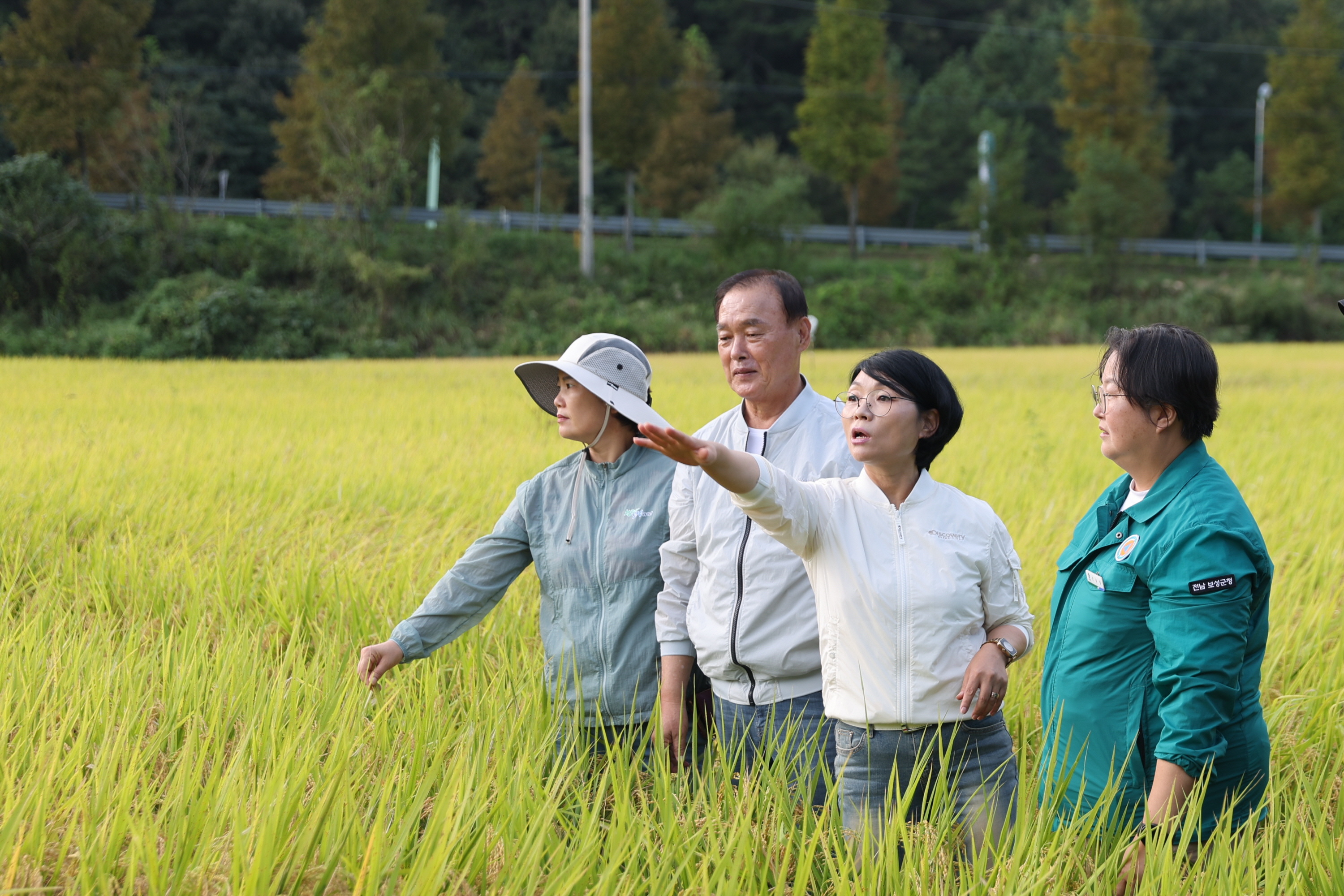 2024년 9월 17일 벼멸구 피해 현장 방문 6