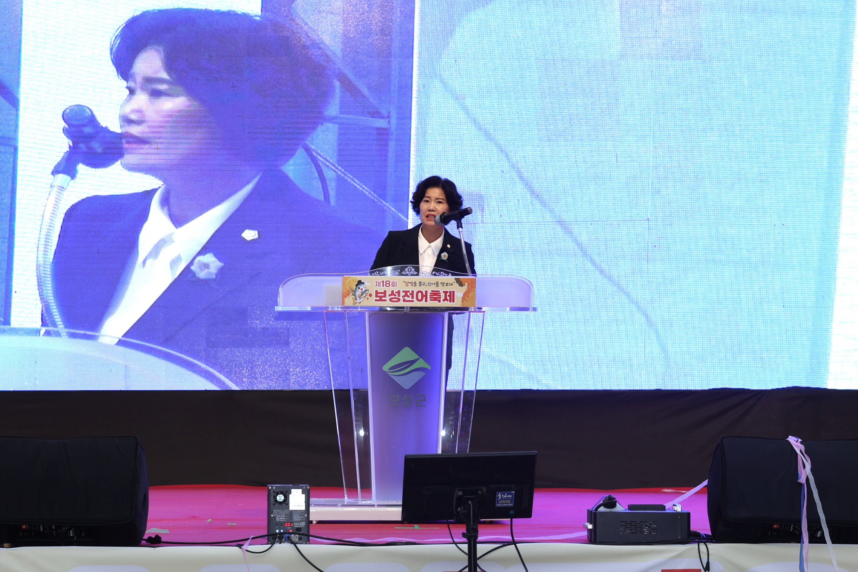 제18회 보성전어축제 1