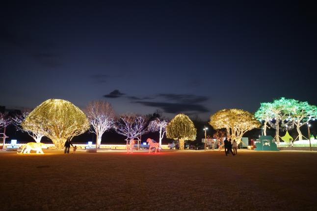 2025년 보성열선루 이순신 역사문화공원 빛 점등식 3