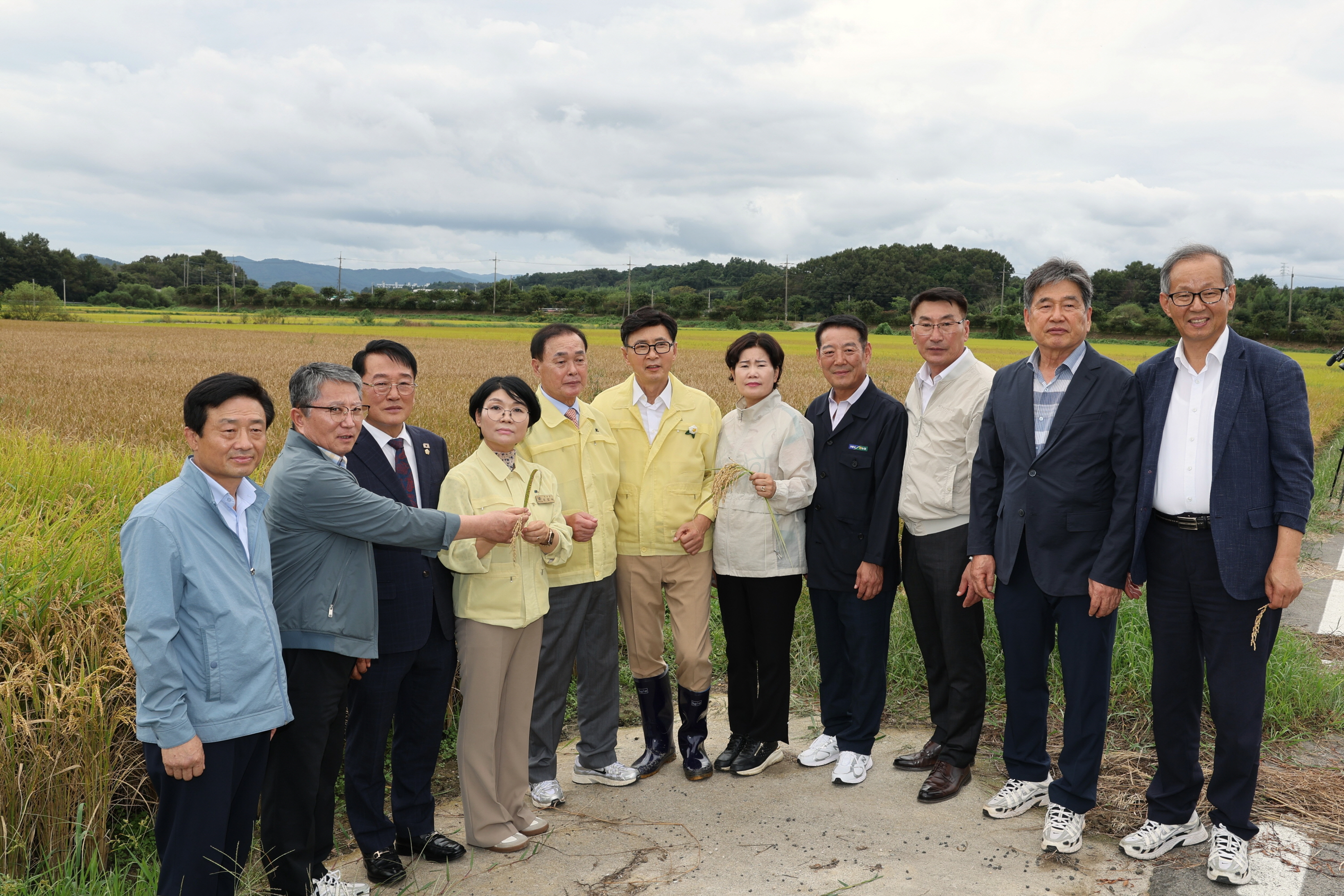 보성군 벼 깨씨무늬병 발생 피해 현황 점검 2