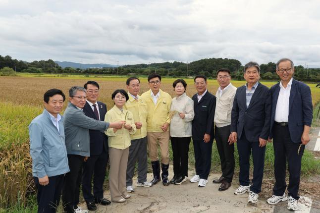 보성군 벼 깨씨무늬병 발생 피해 현황 점검 2