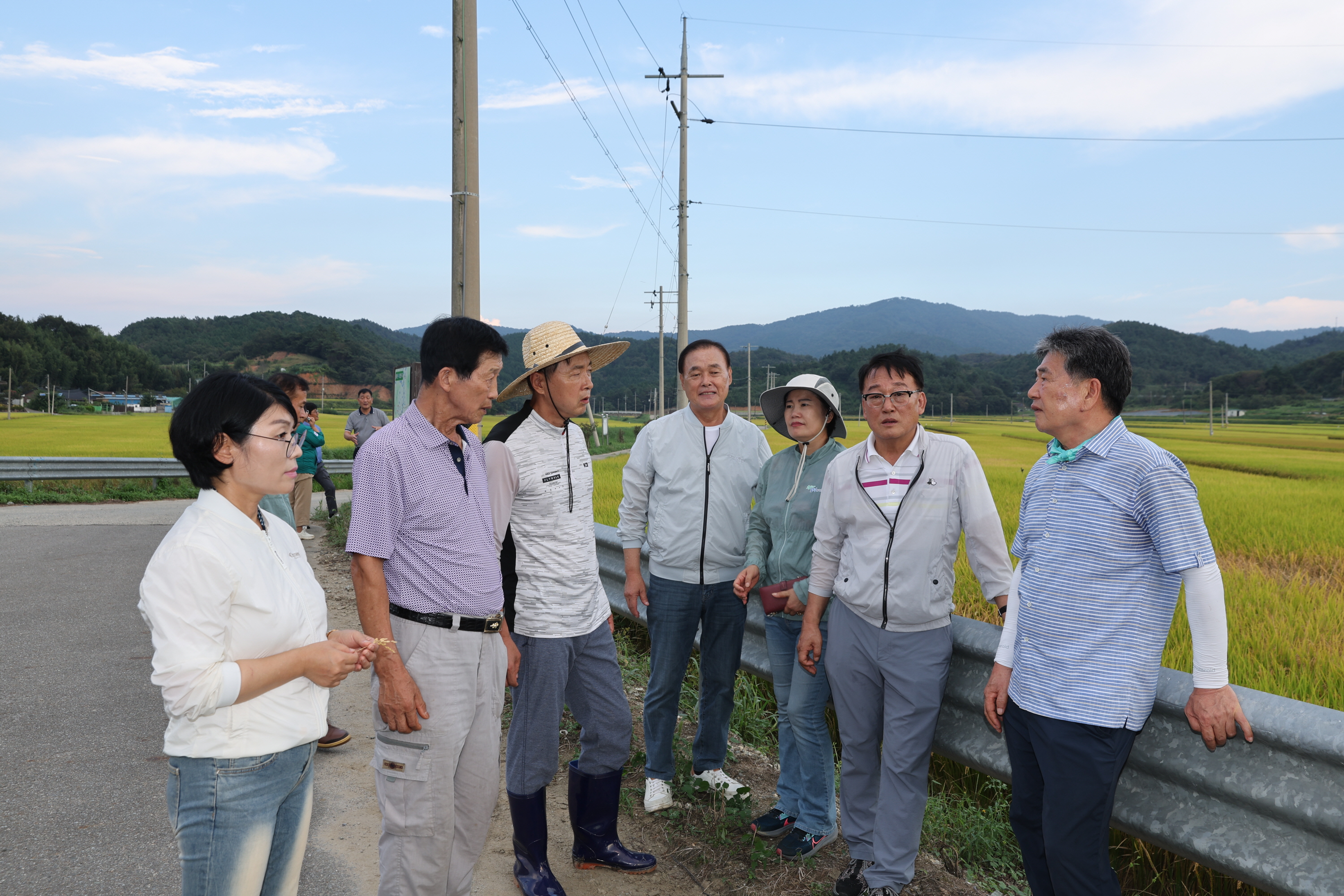 2024년 9월 17일 벼멸구 피해 현장 방문 4