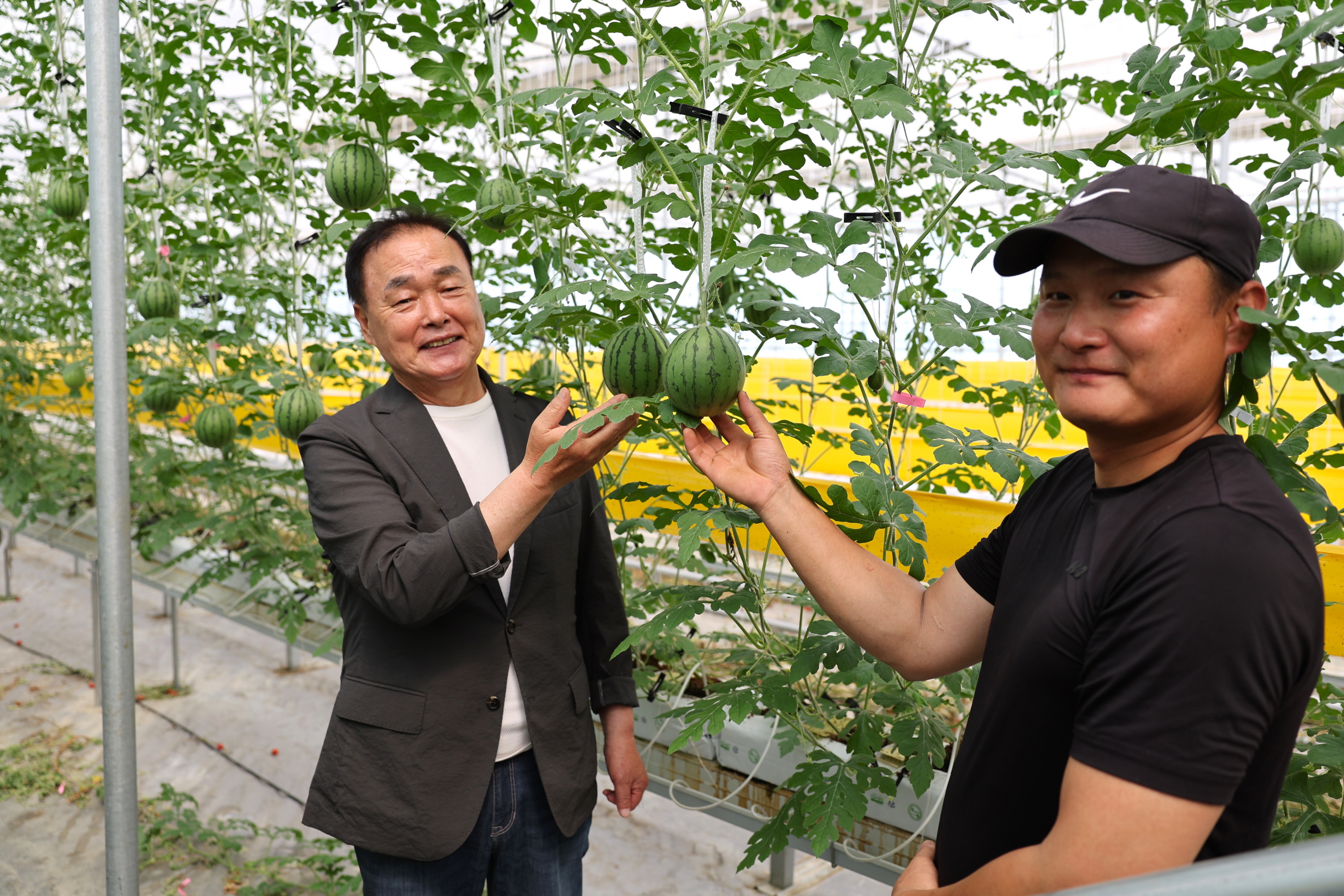 조성면 청년 농업인 현장 방문